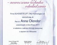 nici nowoczesne techniki odmladzania - dyplom z zakresu chirurgii plastycznej